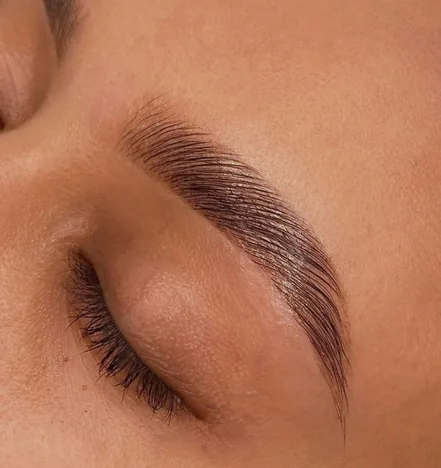 Laminado Cejas — Línea Harmony Alpot Studio