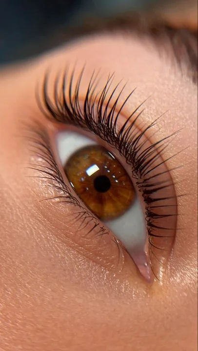 Lifting Lash Tinte — Línea Harmony Alpot Studio